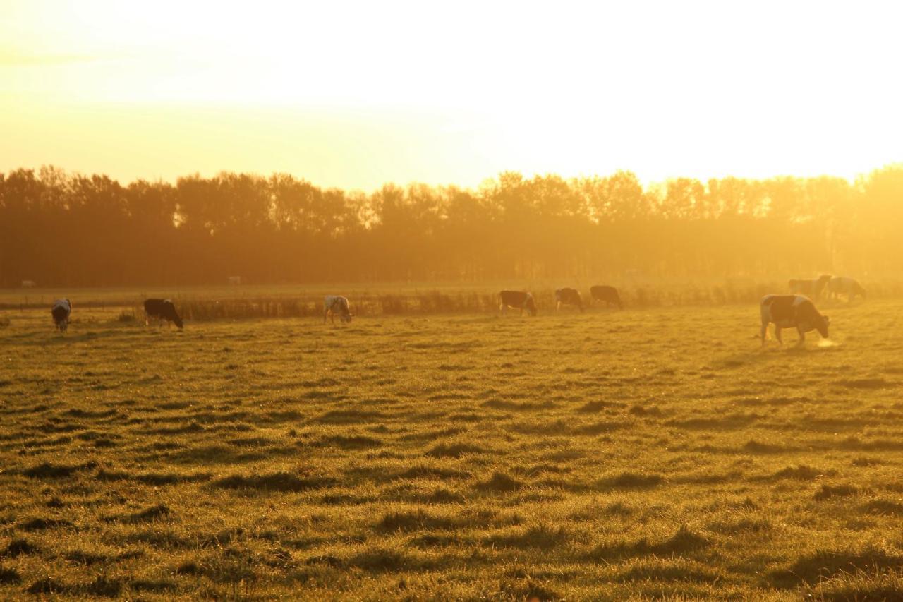 Boerderij Chalet Drijber エクステリア 写真